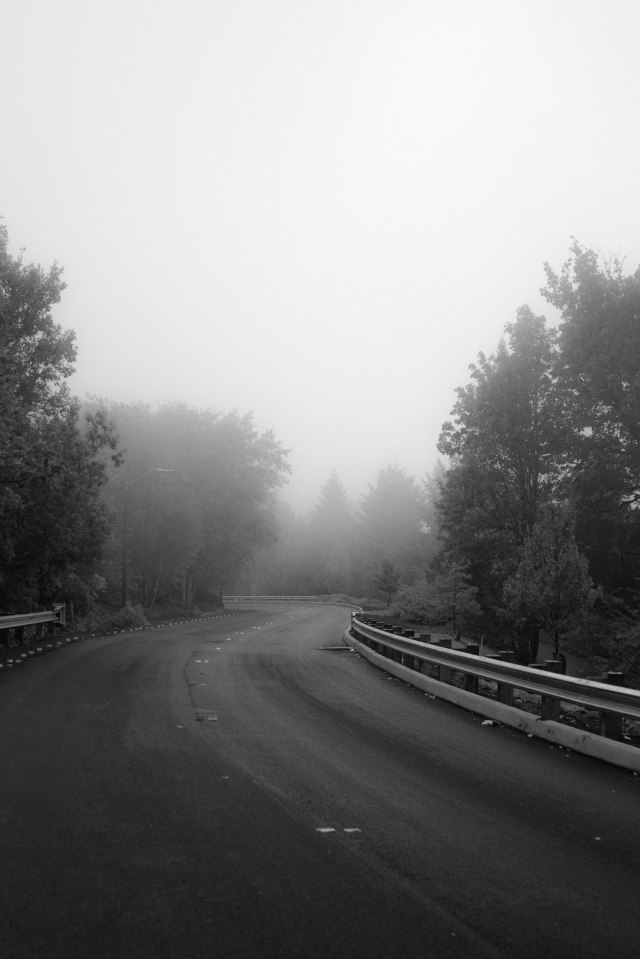 Day 65: Foggy roads